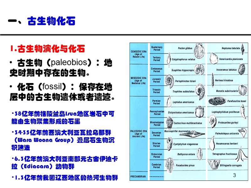 地层划分与对比的依据ppt课件_第3页