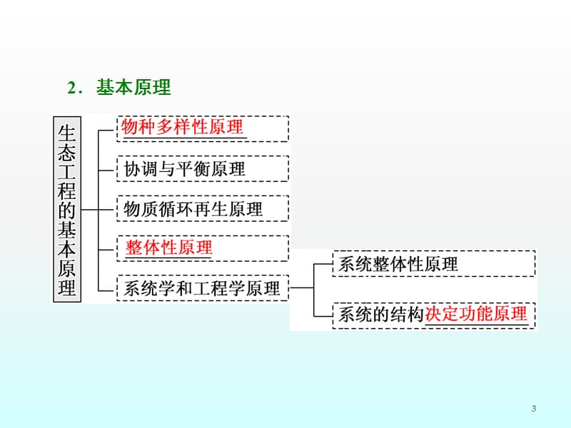 生态工程ppt课件_第3页