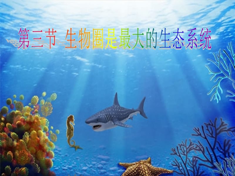 生物圈是最大的生态系统ppt课件_第3页