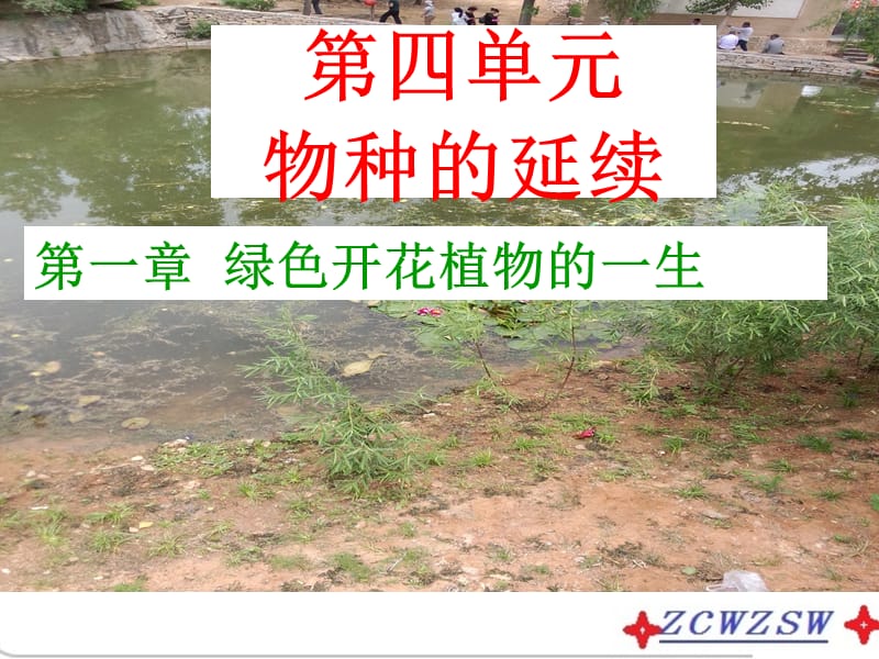 绿色植物的一生ppt课件_第1页