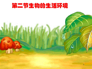 生物的生活環(huán)境ppt課件