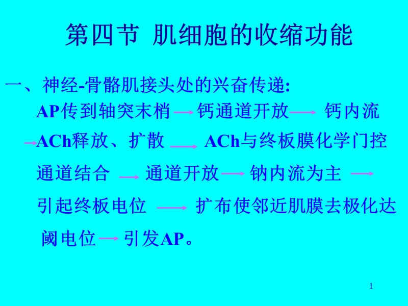 肌细胞的收缩功能ppt课件_第1页