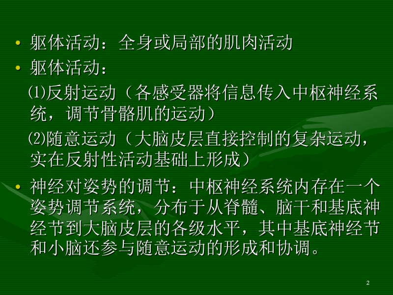 肌肉活动的神经控制ppt课件_第2页