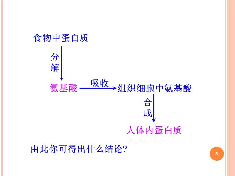 第二课时蛋白质·核酸ppt课件_第3页