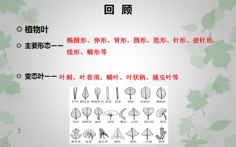 观赏植物学植物学形态学基础知识第三节植物花ppt课件_第3页