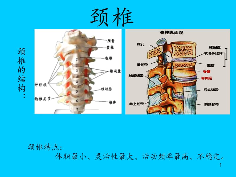 颈椎骨科检查素材ppt课件_第1页