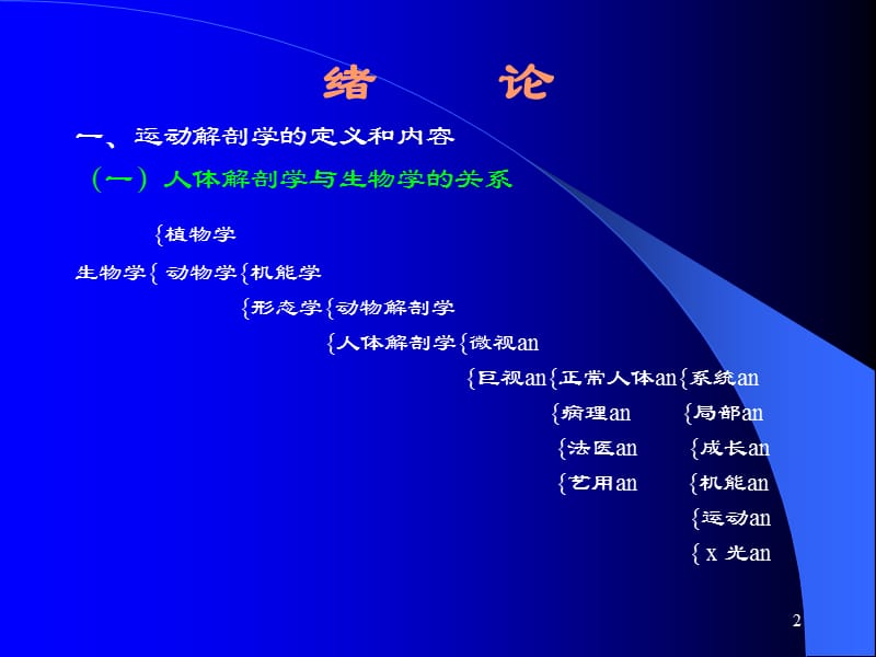 解剖学讲义1摘要ppt课件_第2页