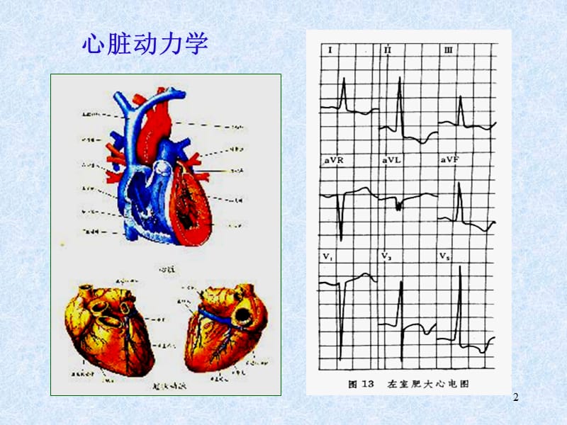 理论力学1质点动力学ppt课件_第2页