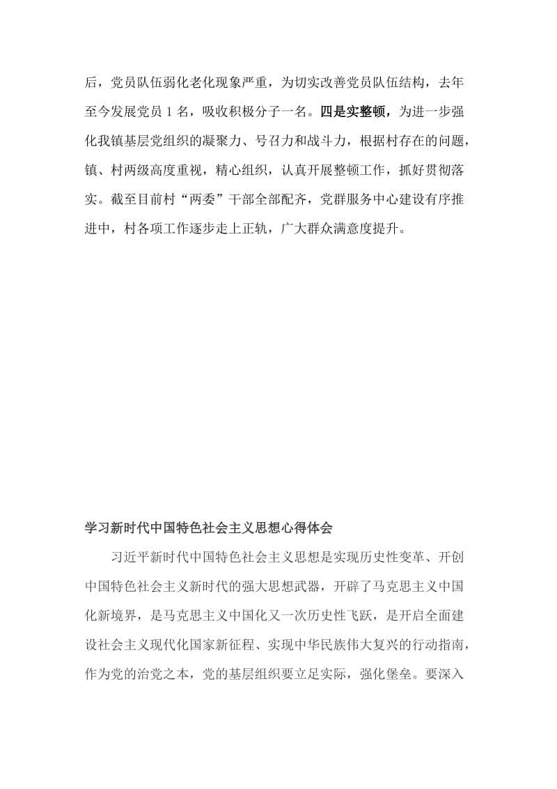 村级党建总结+学习新时代中国特色社会主义思想心得体会_第2页