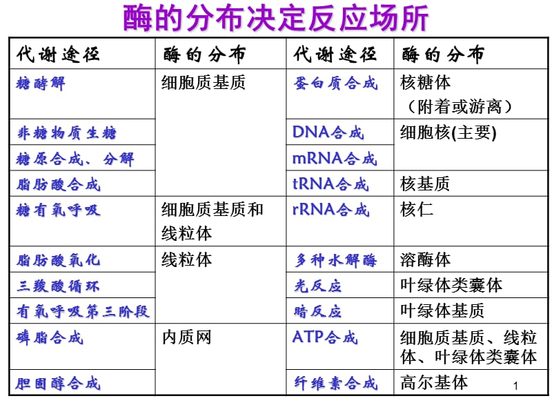 酶分布决定反应场所ppt课件_第1页