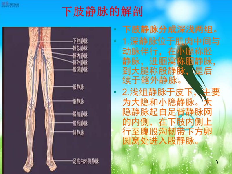 深静脉血栓的预防与护理ppt课件_第3页