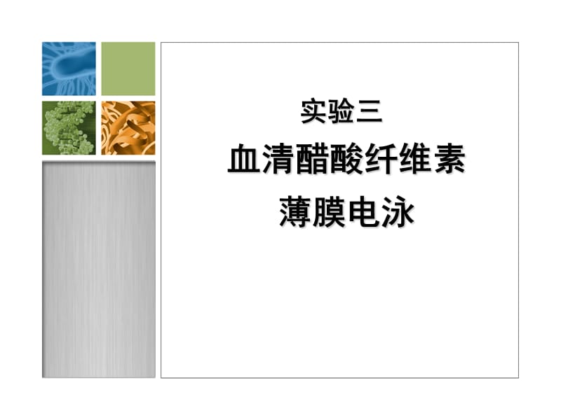 生化实验血清醋酸纤维素膜电泳整理ppt课件_第1页