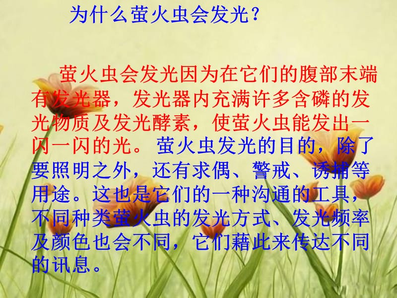 身边的科学ppt课件_第3页