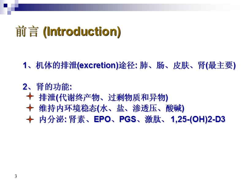 肾的排泄功能ppt课件_第3页