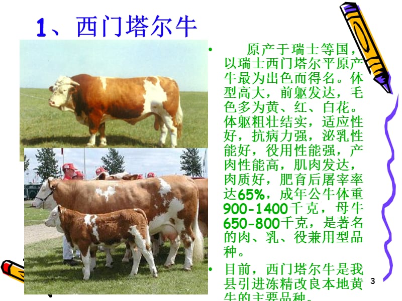 肉牛养殖技术ppt课件_第3页