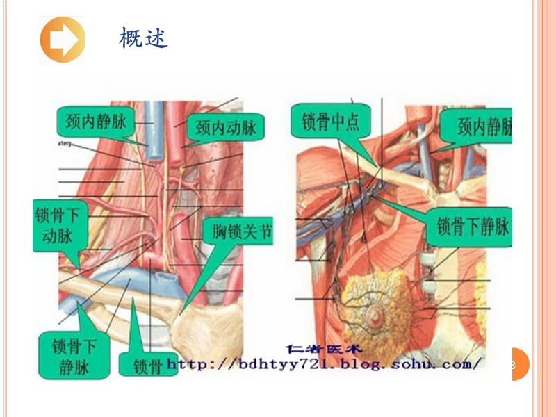 深静脉置管护理ppt课件_第3页