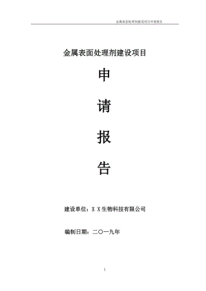 金屬表面處理劑項目申請報告（可編輯案例）