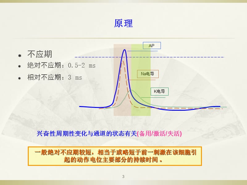 神经干AP不应期与传导速ppt课件_第3页