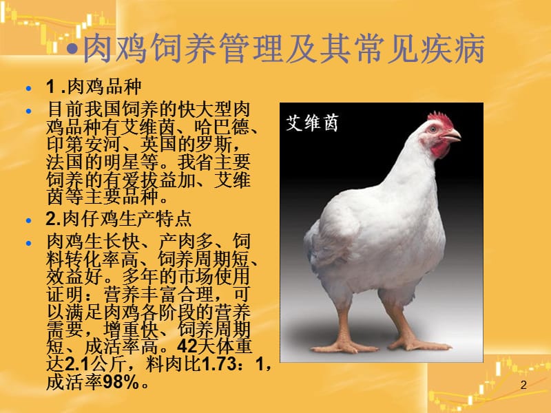 肉鸡饲养管理与其常见疾病ppt课件_第2页