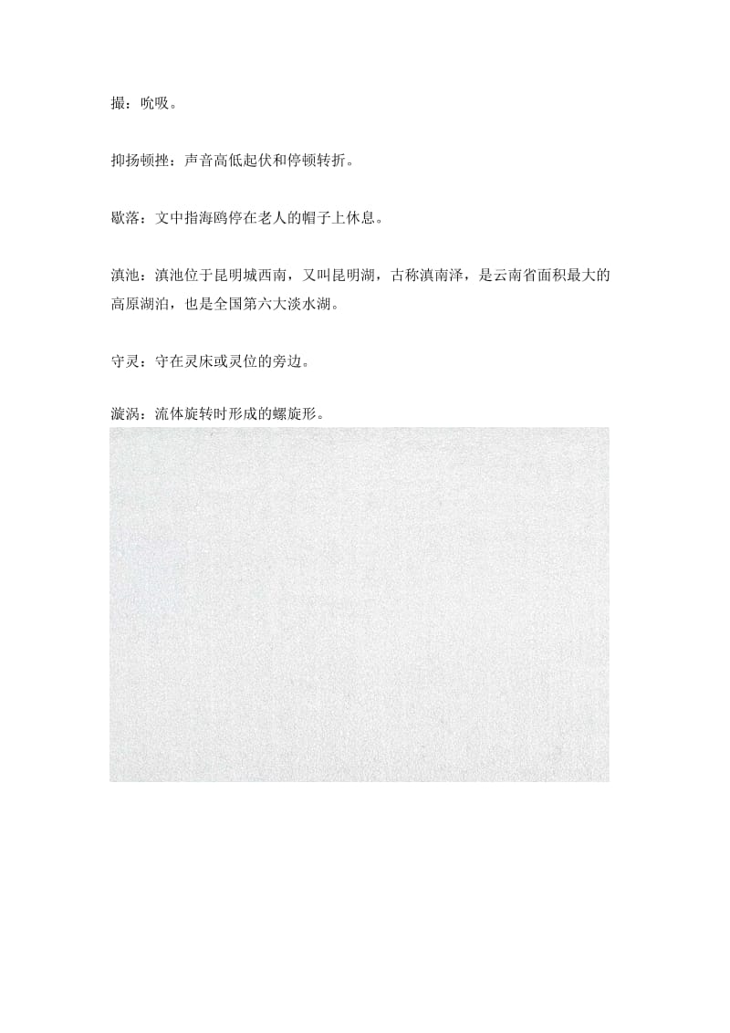 小学语文《老人与海鸥》词句解析_第3页