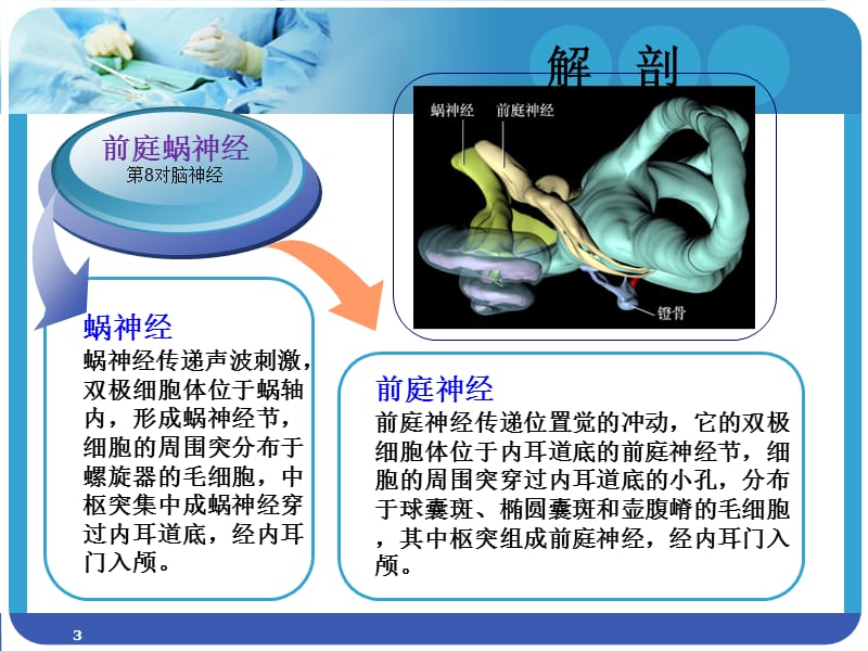 听神经瘤切除术要领ppt课件_第3页