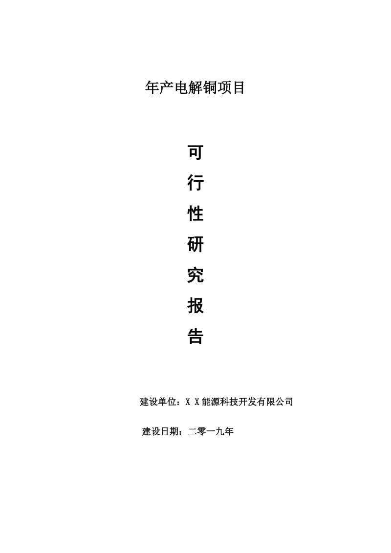 年产电解铜项目可行性研究报告【量身编辑】_第1页