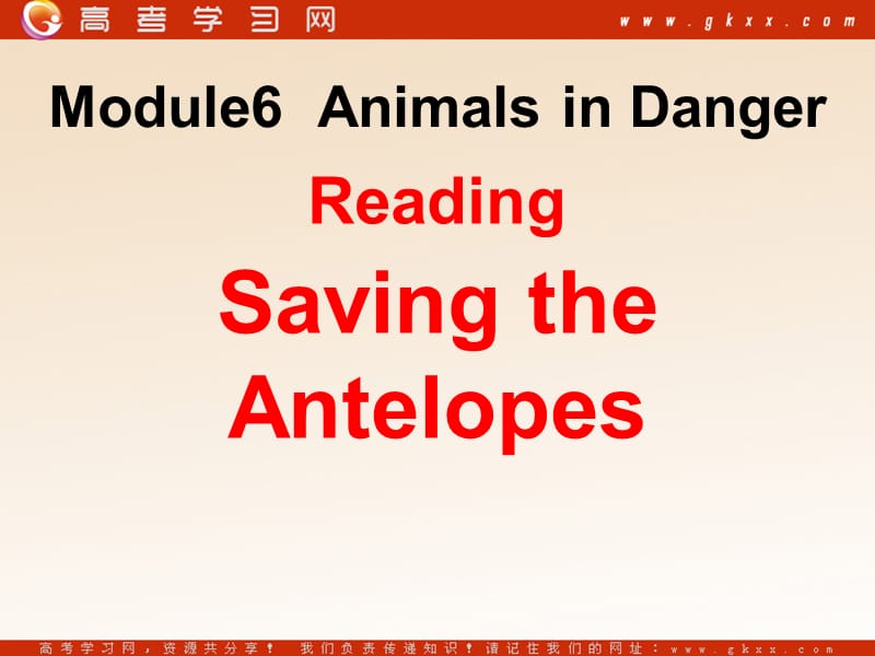 Module 6《Animals in Danger》Reading课件3（19张PPT）（外研版必修5）_第1页