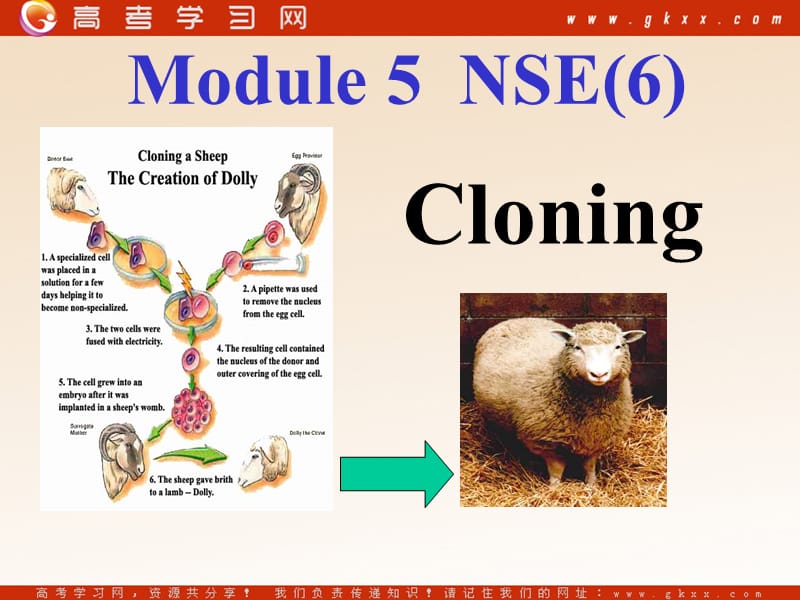 Module 5《Cloning》Listening,Spenking and Writin课件1（17张PPT）（外研版选修6）_第1页