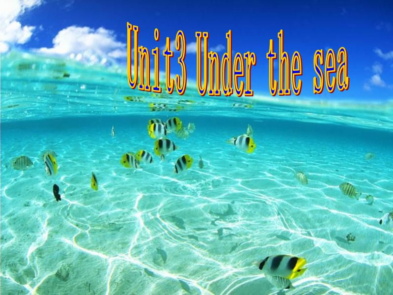 《Unit3 Under the sea》课件六（15张PPT）（人教版选修7）_第1页