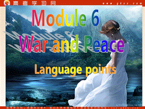 Module 6《War and Peace》Grammar课件1（23张PPT）（外研版选修6）