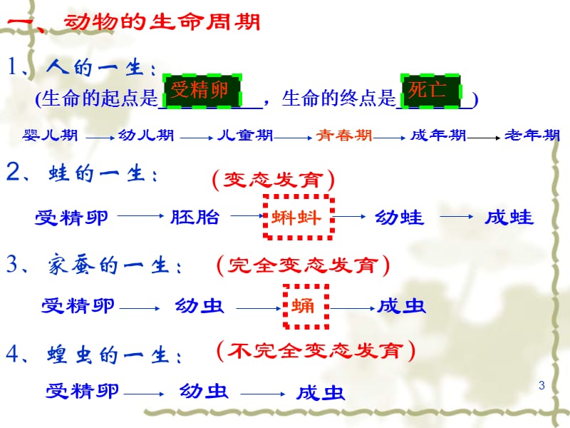 浙教版七年级下册科学第一章代代相传的生命ppt课件_第3页