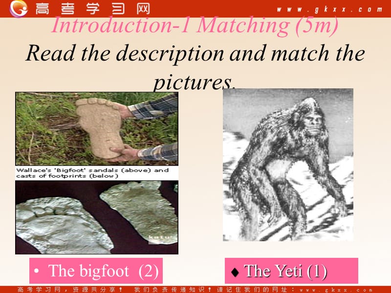 Module 6《Unexplained Mysteries of the Natural World》Introduction课件1（33张PPT）（外研版必修4）_第2页