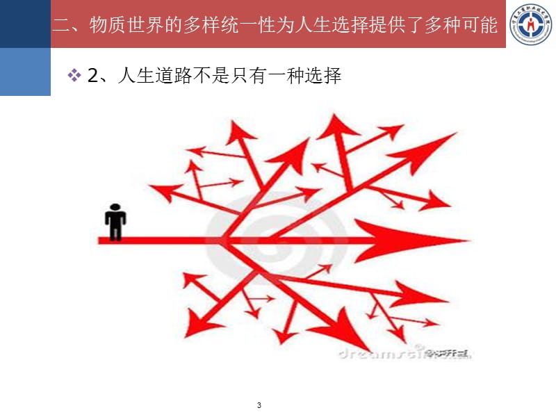 哲学与人生第一课2.物质世界的多样统一性为人生选择提供了多种可能性ppt课件_第3页