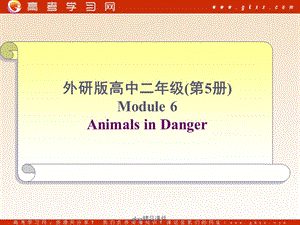 Module 6《Animals in Danger》-Introduction課件1（6張PPT）（外研版必修5）