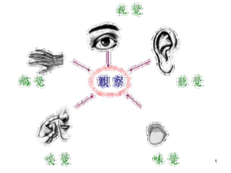 运用多种感官描写ppt课件_第1页