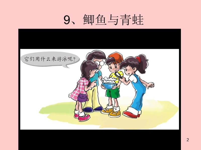 粤教版小学三年级科学下册鲫鱼与青蛙ppt课件_第2页