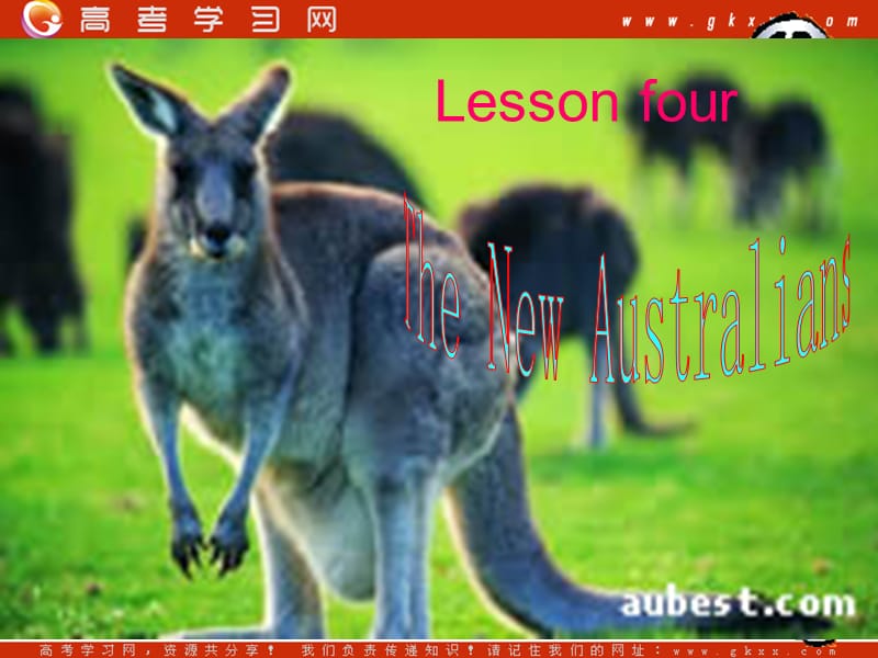 《the new Australians》课件1（22张PPT）（北师大版必修4）_第1页