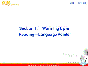 高中英語人教版必修5課件【福建專用】Unit 5《First aid》SectionⅡ