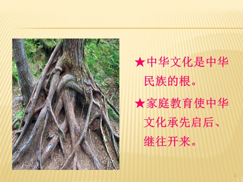 中华传统文化与家庭教育ppt课件_第2页