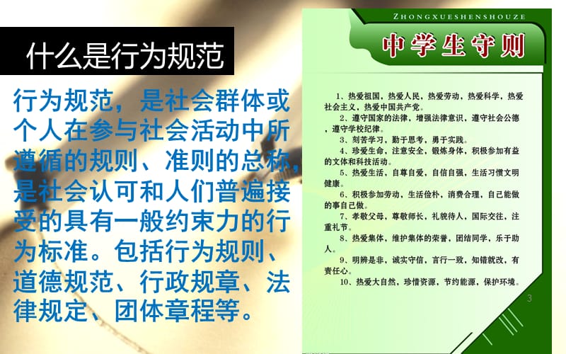 中学生行为习惯养成教育主题班会ppt课件_第3页