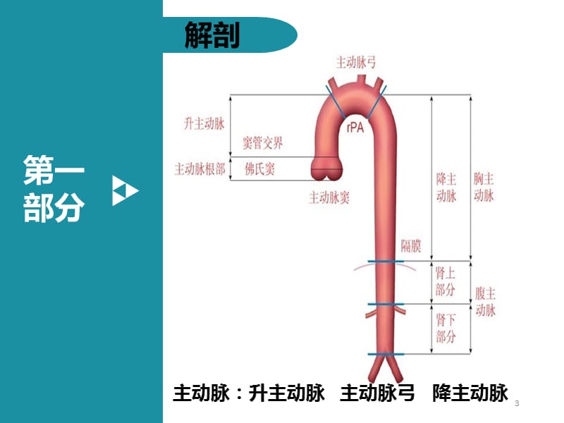 主动脉夹层动脉瘤ppt课件_第3页