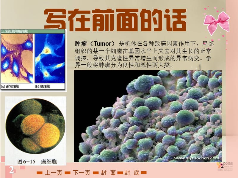 肿瘤细胞生物学完整版ppt课件_第2页