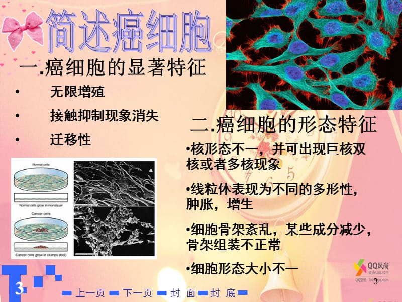 肿瘤细胞生物学完整版ppt课件_第3页