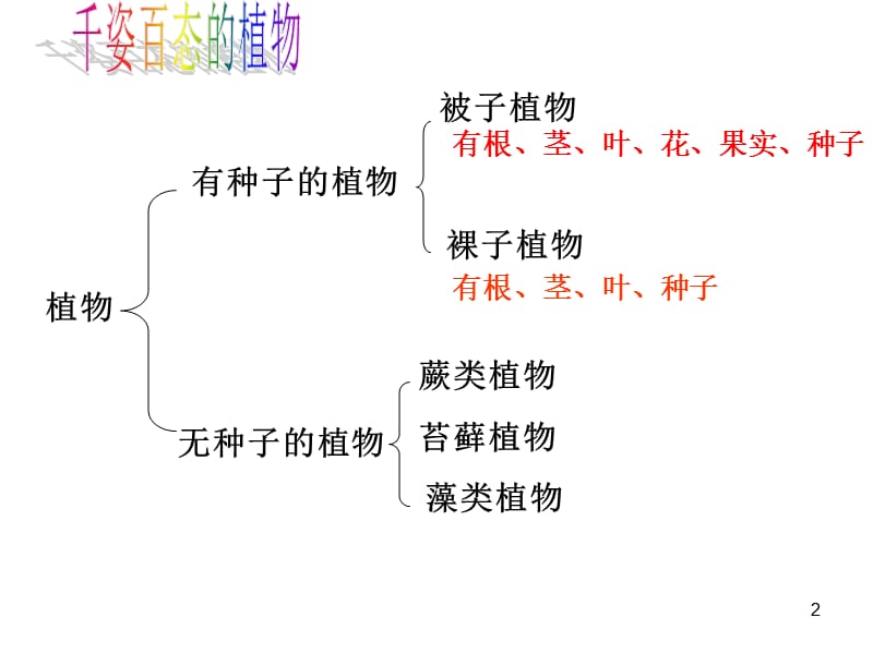 种子的结构ppt课件_第2页