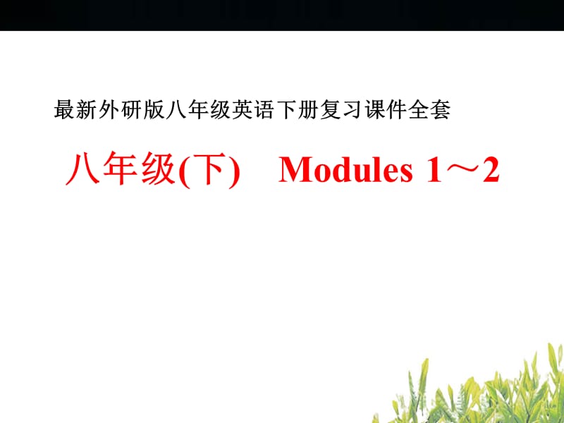 最新外研版八年级英语下册复习全套ppt课件_第1页