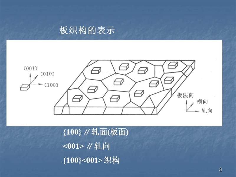 织构入门基础ppt课件_第3页