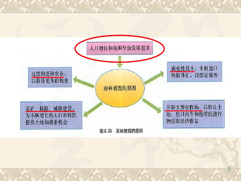 亚马孙开发计划及其影响ppt课件_第3页