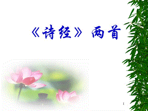 關(guān)雎蒹葭ppt課件