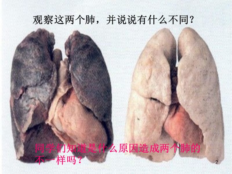 珍爱生命请勿吸烟ppt课件_第2页