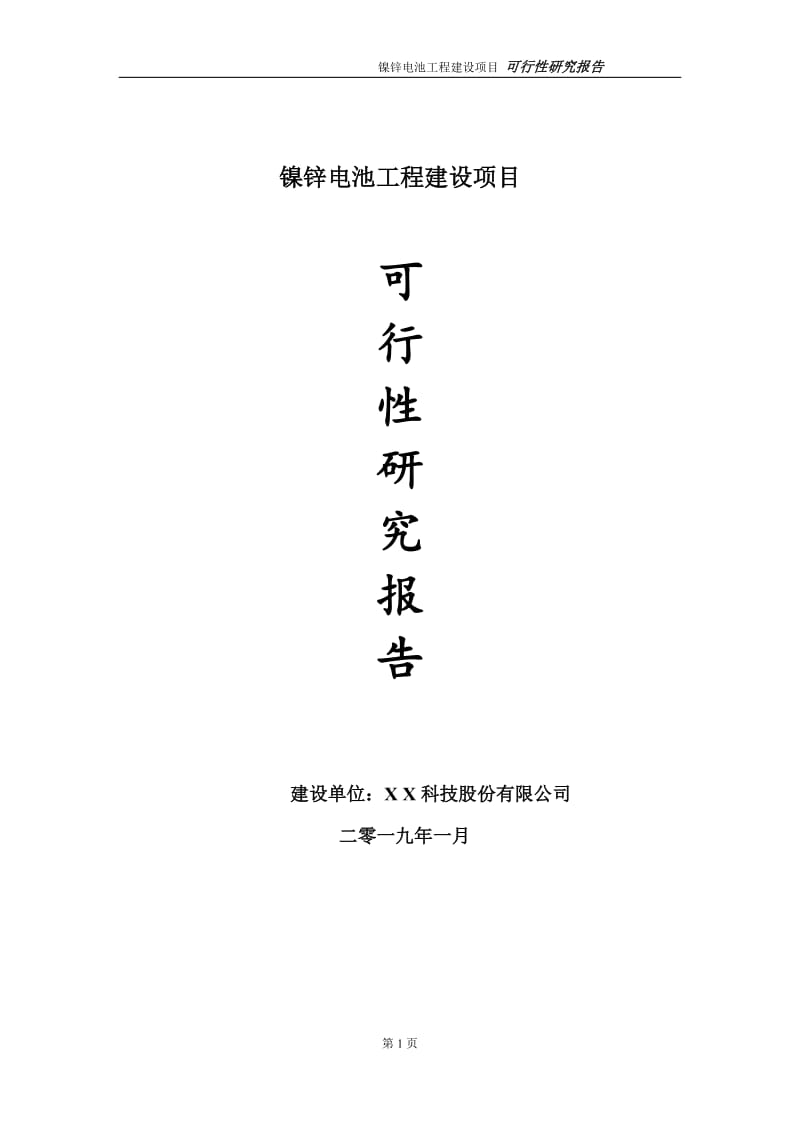 镍锌电池项目可行性研究报告（代申请报告）(1)_第1页